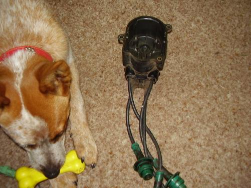 Electronic Ignition Wiring - Car Electrical - rollaclub.com